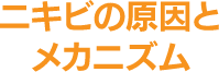 ニキビの原因とメカニズム