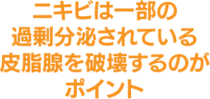 ニキビは一部の過剰分泌されている皮脂腺を破壊するのがポイント